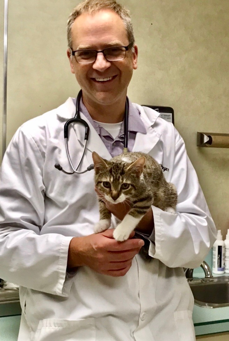 Dr. Shawn Koelemeyer